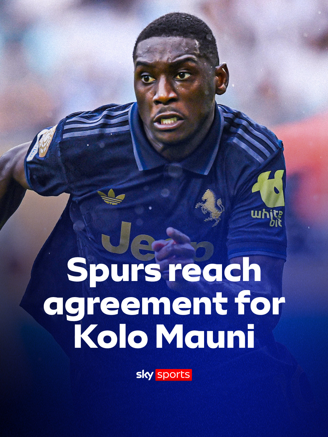 Tottenham Hotspur have reached an agreement with PSG for Randal Kolo Muani on loan  #deadlineday #skysportsnews #footballtiktok #spurs #randalkolomuani