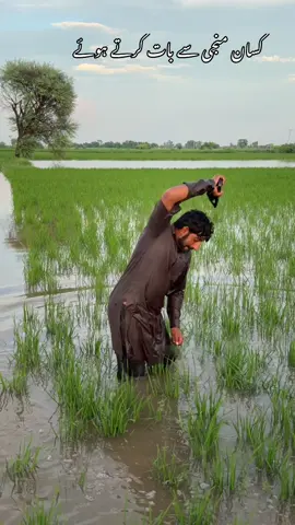 سیلاب میں کسان بھائی منجی سے بات کرتے ہوئے @ناصراقبال🌷 
