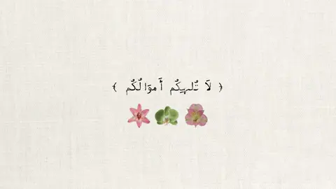 سورة المنافقون آية ٩ - ١١ 🪷🍀🌸 #اجر #قران_كريم #اجر_لي_ولكم #اجر_لي_ولكم_ولوالدينا_وللمسلمين #القران_الكريم #تلاوات_قرآنية #اذكروا_الله #ماهرالمعيقلي 