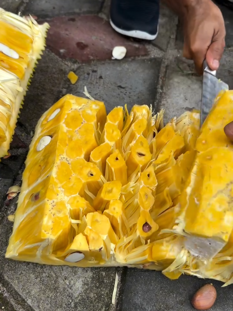 rapet lurr #nangka #jackfruit #nangkaviral 