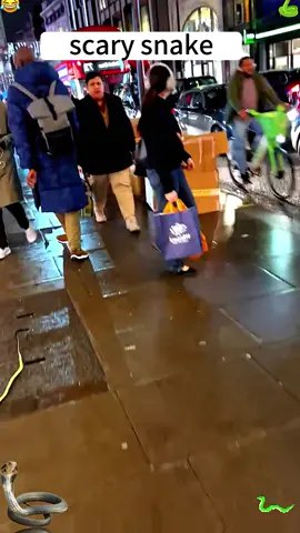 Snake prank #fyp #foryou #funny 