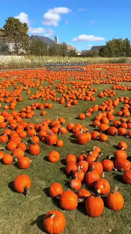 we made it!! I am healed 🍂🍁🥹🤎📺☕️ #bermonths #fallishere #fallfoliage #autumn 
