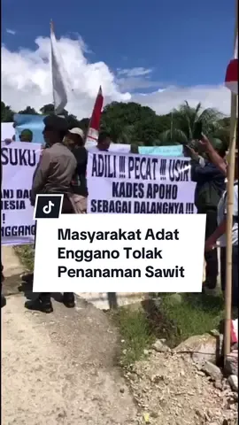 Masyarakat Adat Enggano Tolak Penanaman Sawit #enggano #masyarakatadat #warga #pulauenggano #bengkulu 