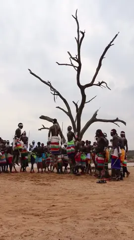 There isn’t a better place to be creatively inspired than Samburu. This land and its people provoke invention; horizons open new ways of seeing, and color translates seamlessly into form and expression. Ideas here are not manufactured but drawn out by the very essence of the place, the heart beat of its people, the soil and the heat, the shifting light, the geometry of beadwork and cloth. Samburu doesn’t just influence creativity; it demands it, shaping music, art, and thought with its vastness and clarity. I’ve been busy, managing the incredible lodge Sasaab, reconnecting with my old team whose roles have grown, empowered! making my heart SING! singing to the birds, singing to the wind, writing songs, even completing the script for my pangolin documentary. Endlessly inspired in so many different directions! How powerful a place and people to bring that out out of you; JUST by being authentic. All of it sparked by the inspiration of being back here, gathering a deeper understanding of indigenous culture. Feeling the love, seeing the rewards on land and people of sustainable community based conservation!  I’m not quite ready to say goodbye, but everything this place has given me will always call me back. Like I am back here now 10 years later! I’m a sensitive soul, feeling deeply comes naturally and Samburu always grounds me in that truth. @thesafaricollection , I started my career with you and I’ll always return. Thank you Peter!!! My G! Tanya, @mikeycarrhartley @byriccardotosi @karalinck @murad_r_habib and the whole entire TSC fam! For anyone seeking to travel ethically and intentionally, @thesafaricollection remain my number one recommendation. Thank you @thesafaricollection — I missed this place and the TSC fam more than I knew.  #curioussafaris #Samburu 🤍 #tourguideombima #gamedrivewithombima #travelwithombima 