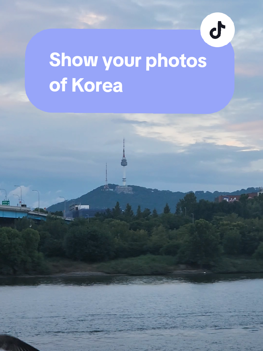 Comment a photo of your favorite place in South Korea 📸 #foreignerinkorea #southkorea #travelkorea #showyourphoto 