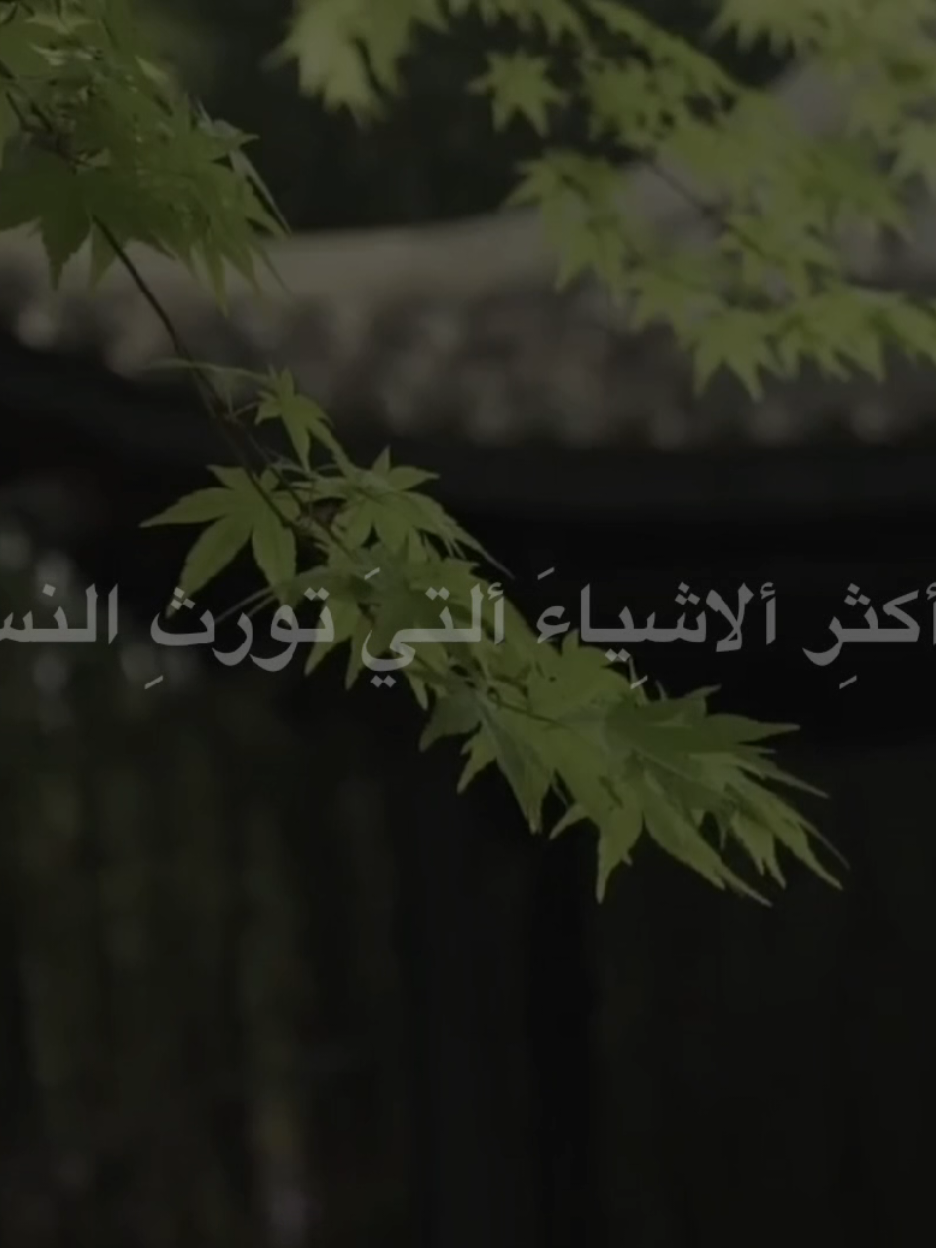 الهَمومَ والمشاكَل #الشيخ_علي_المياحي  #اكسبلورexplore 