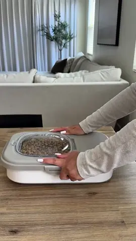 Your pet deserves an organized pantry, too 🐾 Shop this collapsible pet food container now at the link in bio #amazonfinds #amazonpets #pettok 🎥: @allthingsjudy