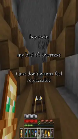 #fyp #viral #depressedtiktok #twin #Minecraft 