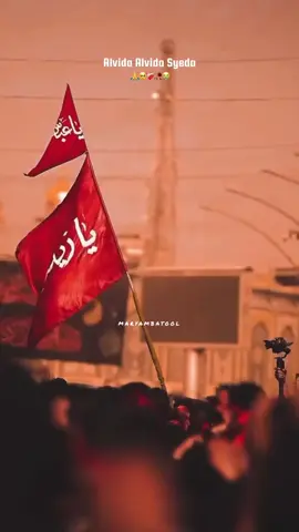 alvida alvida Syeda😭🥀#imamhussain #karbala #imamali #Najaf #karbalasymadinawapsi #islamic_video #shia #viralvideos #shiastatus #foruyou #forupage #unfreezemyacount #growmyaccount #viral #viewsproblem #deartiktokteamdontunderviewmyvideos #videoviral #unfreezemyacount #unfreezemyacount #goviral @Dar e Ahlebait 