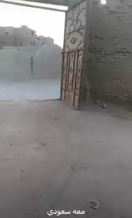 #ابوطوفان 
