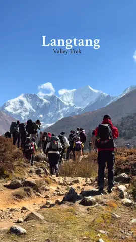 Trekking in Nepal  #foryoupage #fyppoppppppppppppppppppppppp #trending #langtangtrek 
