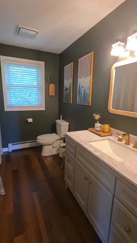 Bathroom refurb #bathroom #moodybathroom #sherwinwilliams #shadegrown grown #green 