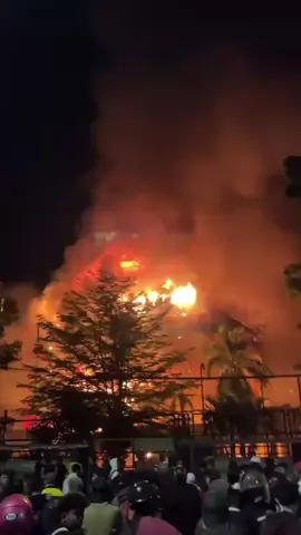 nih yang minta versi suara X Borg,, menyala gedung🐭🐭🐭#gedungdprterbakar#demodpr2025#tikuskantor#sarantikus#fypシ゚viral 