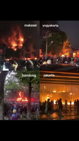 Yang kalian bully SDM rendah#palembang #palembangtiktok #sumsel #dpr 