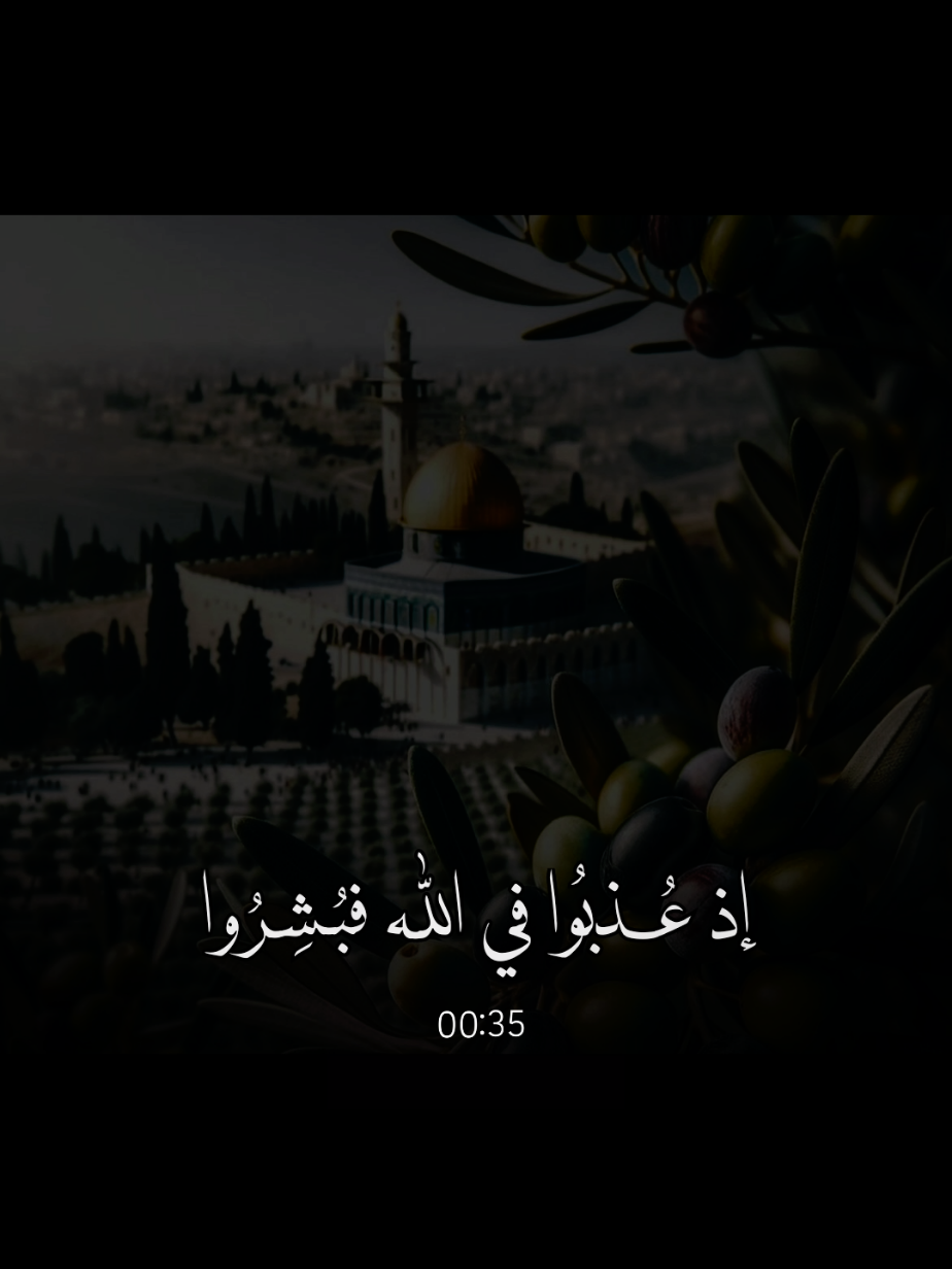 رحمك اللّٰه يا شهيد 😥 #اللهم_صلي_على_نبينا_محمد #غزة #اسلاميات #explore  @𝒒𝒖𝒓𝒂𝒏 𝒆𝒍𝒌𝒂𝒓𝒊𝒎 🇵🇸 