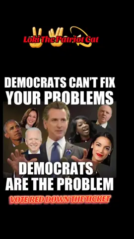 Demo Rats✌️🖖💫 @LOKI The Patriot Cats Paw Paw #loki_the_patriot_cat #truth #leftard #liberallogic 