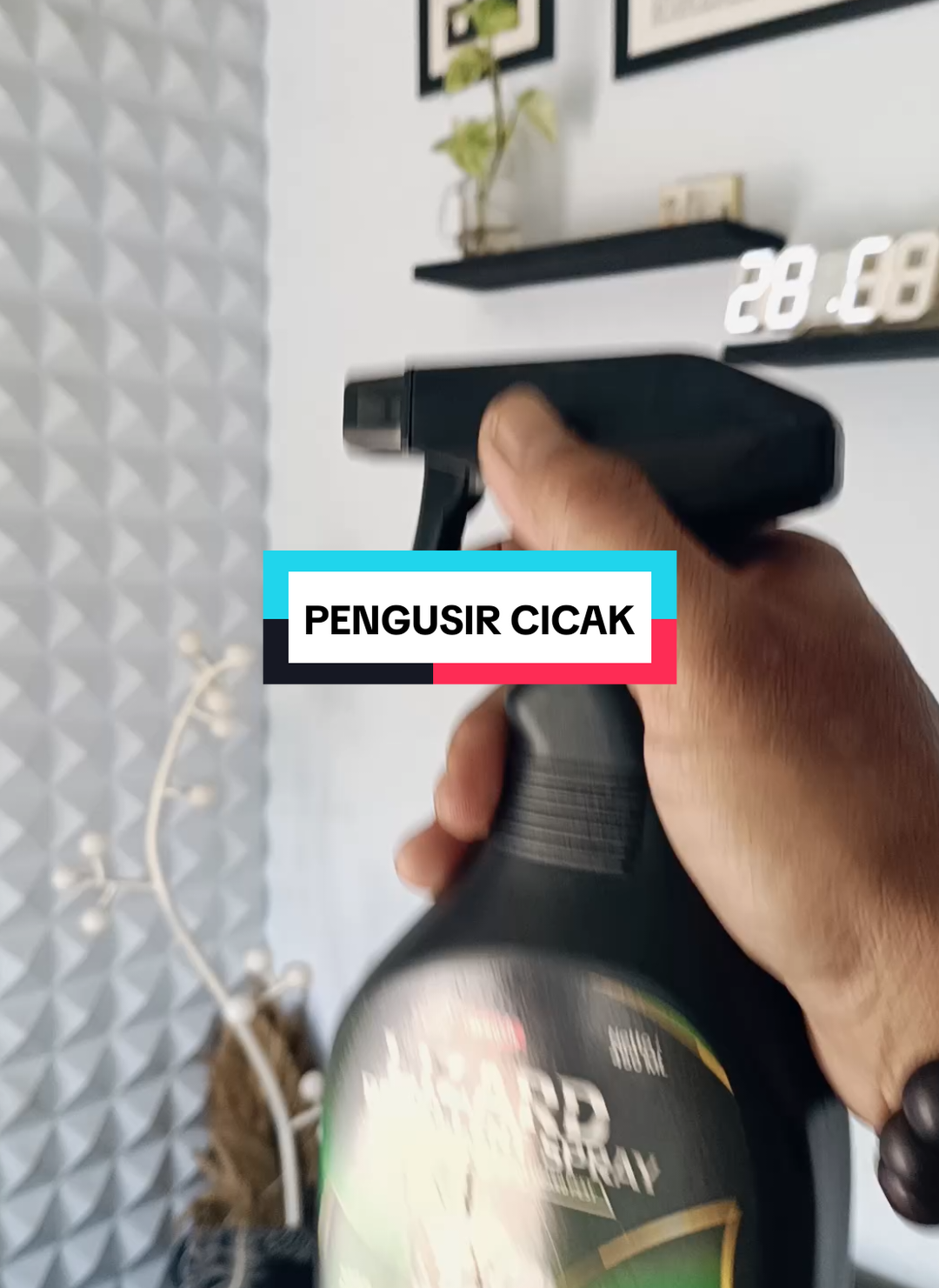 Promo pengusir cicak ampuh #pengusircicak #pengusircicakampuh 