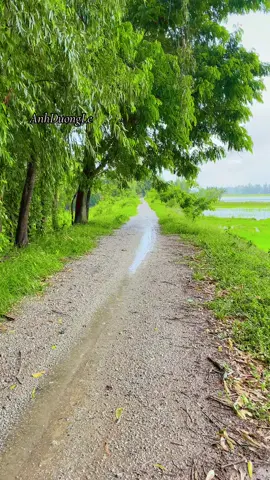 A dìu e ve đường ve nhà e mưa ướt lá tren cao con đường buồn hiu hút gio keu ca🥰🥰🥰#xuhuong #viralvideo #canhdepmientay #canhchillvungque🌾 #canhchill 