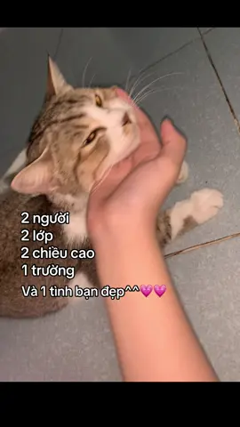 Nhìn con mắt nó ghe ghê @bo #xuhuong #xh #vairal #fypシ゚ #tinhbanvinhcuu 