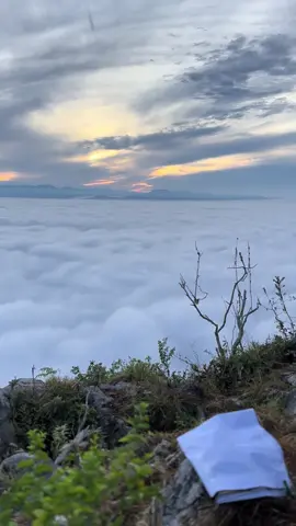 📍Gunung senyum ,temerloh pahang  2jam 50minit hiking demi pemandangan yang seindah ni, alhamdulillah rezeki awan karpet  #awalkarpet #fyppp #Hiking #sunrise #gunungsenyum  