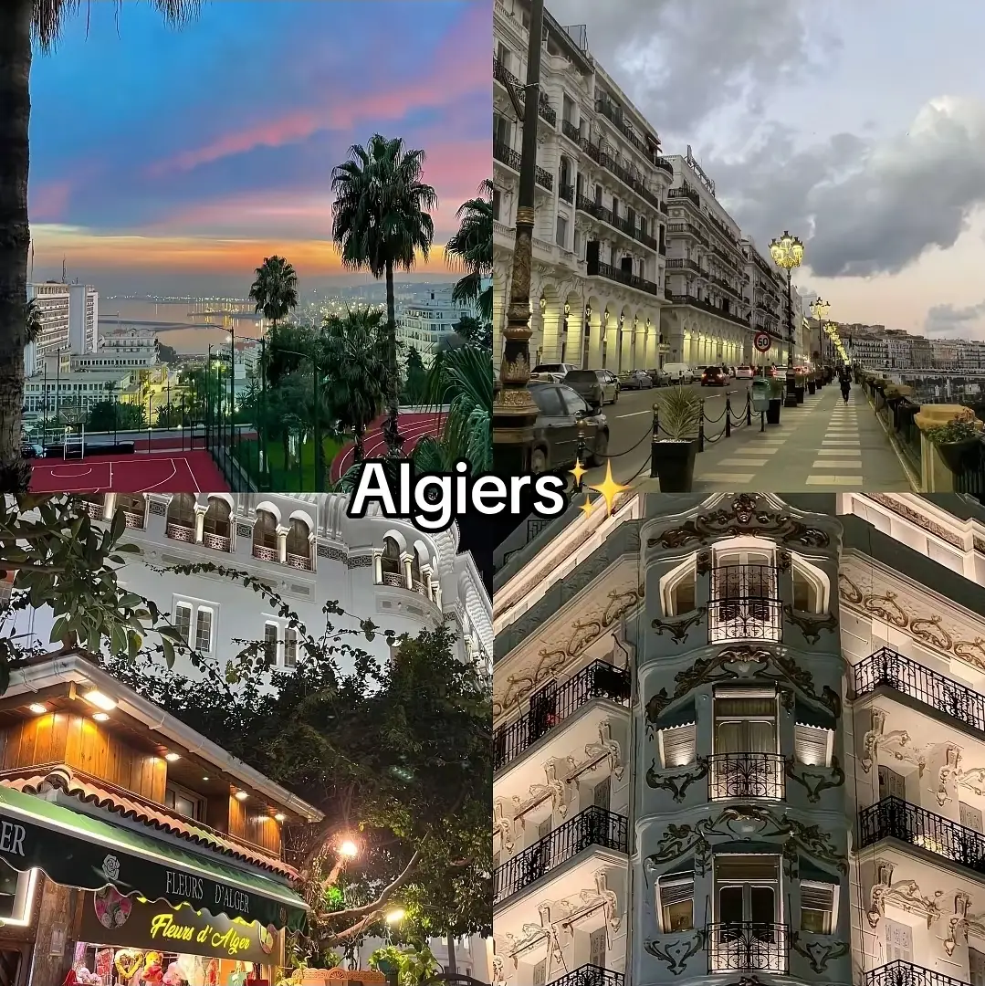 #explore #algerie🇩🇿 #oran #tiziouzou #setif 