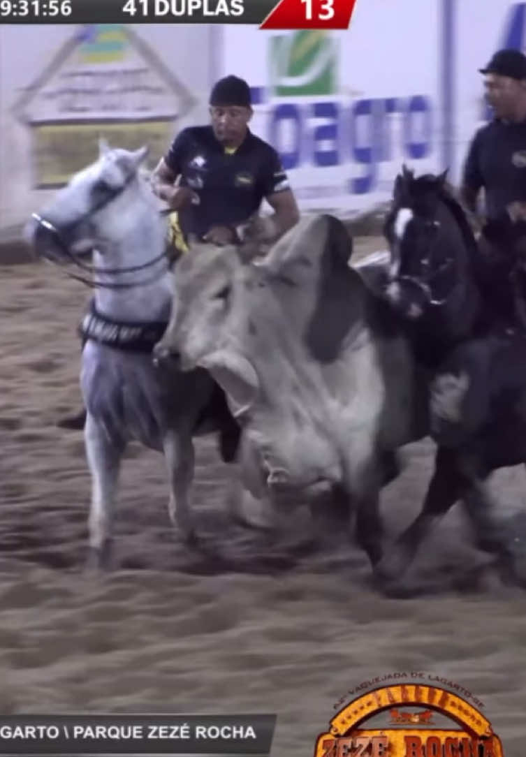 Os Profissionais correndo os TOUROS do parque Zezé Rocha #vaquejada #vairalvideo #fyp 