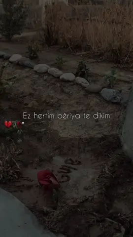 🕊️💔#إنا_لله_وإنا_إليه_راجعون#diyardersim #hozandino  