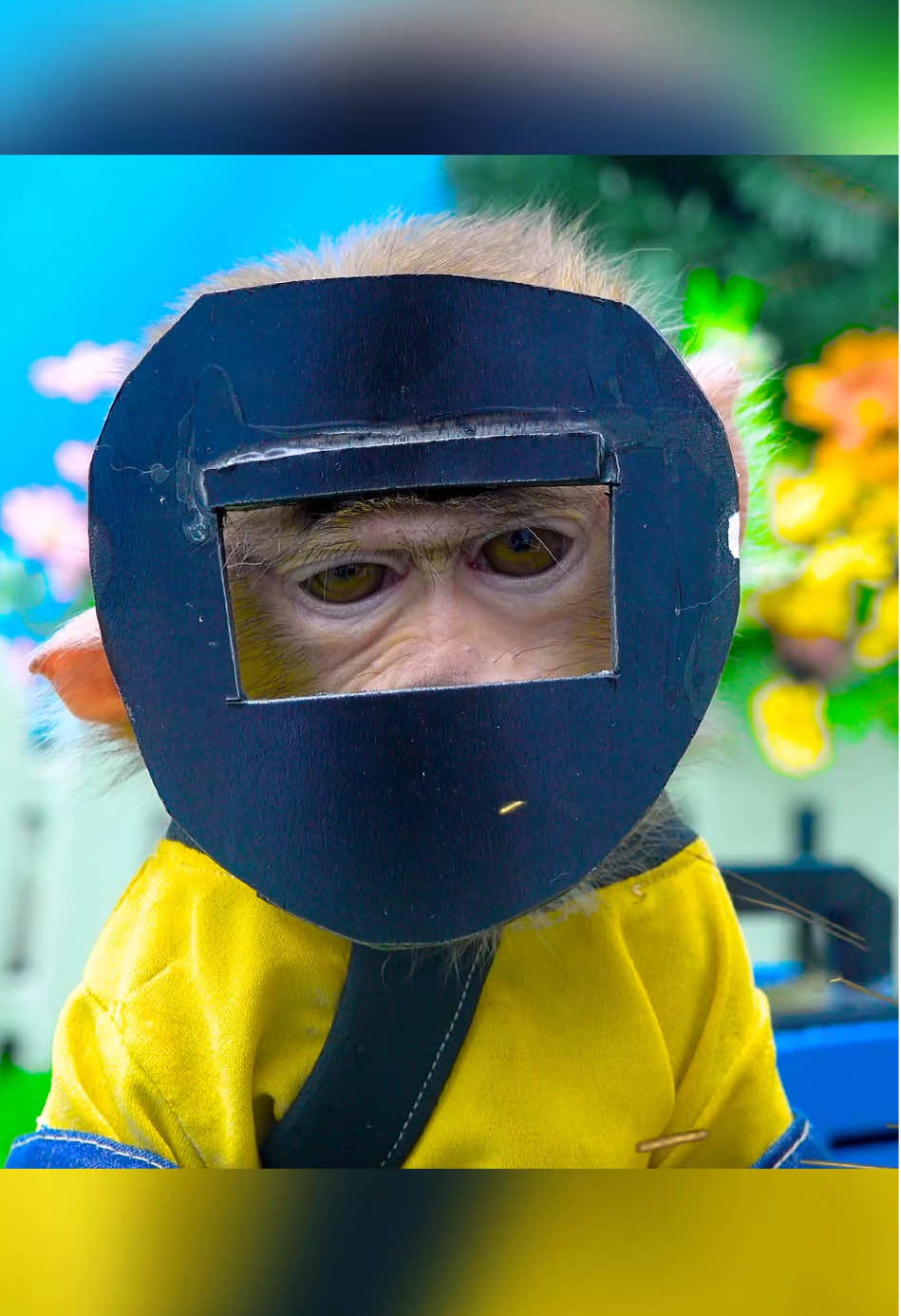 Monkey so lovely #monkeysoftiktok #monkeylife #funnyanimals #monkey #viral 