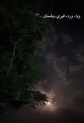 #🖤 