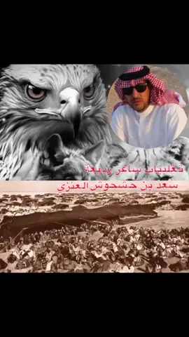 #قصايد #شاعر_ربيعة #عنزة_الوائلية #بكر_وتغلب #عنزه_بني_وايل 
