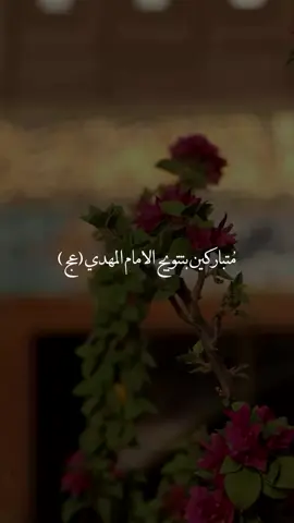 #اللهم صلِ على محمد وال محمد ✨🩵 . . . . #اللهم_صل_على_محمد_وال_محمد #اللهم_عجل_لولیک_الفرج #اللهم_عجل_لوليك_الفرج #بسم_الله_الرحمن_الرحيم 