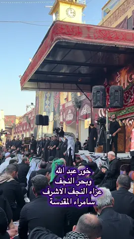 #النجف_الاشرف #النجف #محرم #محرم_1443_ويبقى_الحسين #مرتضى_حرب 