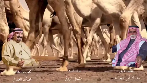 #اكسبلور 