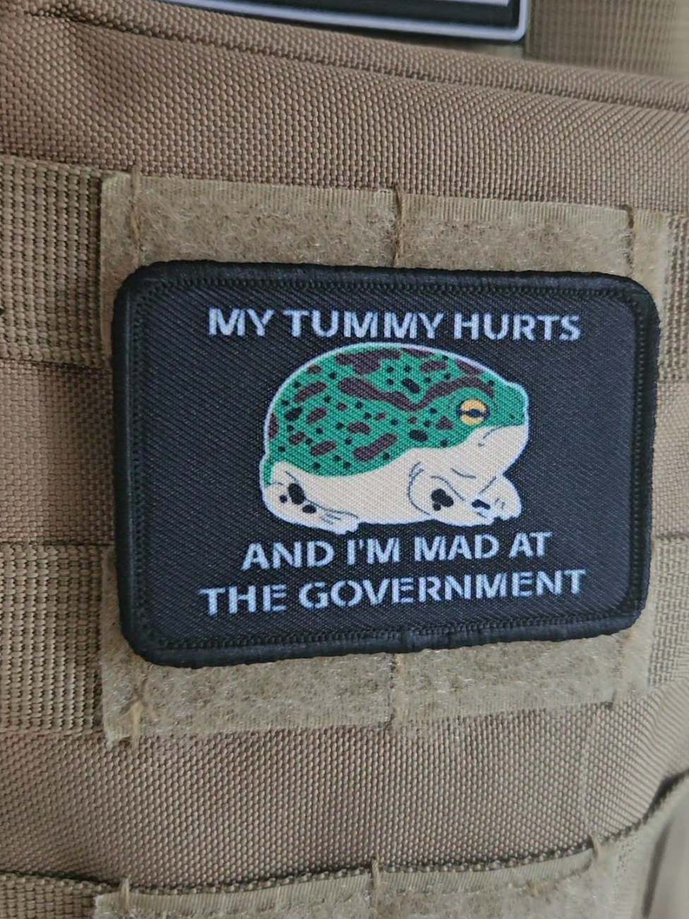 my tummy hurts and im mad #meme frogs are cute