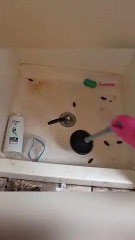 limpeza pesada no banheiro, faxinando o banheiro  #limpezasatisfatória #cleaningthebathroom #cleaninghouse #heavycleaning #faxinapesada  PS: contém 👇🏻  🧽✨ Corte do vídeo da Auri Katariina 👉 Confira o canal dela no YouTube para ver a transformação completa!