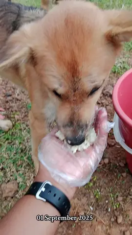 Si Chiko😂😀😋