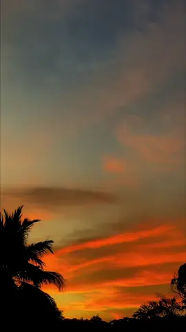 #ceritasenja 