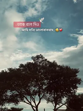 ~তাকে বলে দিও -আমি সত্যি ভালোবাসতাম..!😅❤️‍🩹 #foryou #foryoupage #Camilla #TikTok #fupシforyou @Tamim @TikTok 
