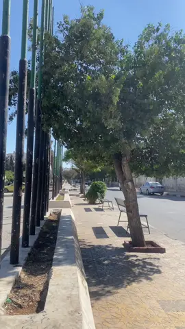 تعا ياحبيبي خدني وروح 💚😴 #تصويري #ادلب #اعادة_النشر🔃 #fpyシ #اكسبلور 