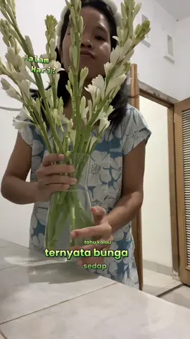 Bunga sedap malam #flowerinvase 