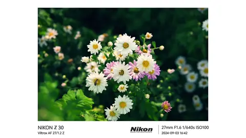 Nikon Z30  #photography #photographer #nhiepanh #nikonphotography #nikonz30 