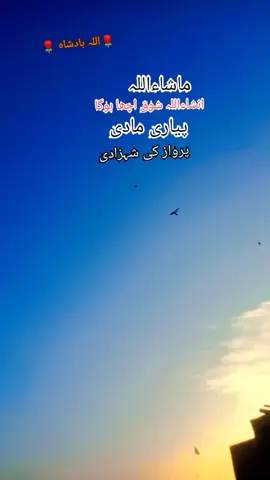 شوق ڈوگردا❣️☠️❣️☠️❣️☠️❣️