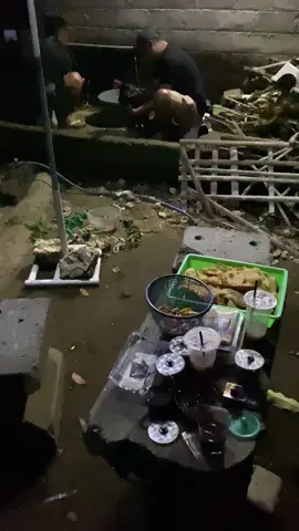 Kuliah malam 🤭 #ayam #salamsatuhobby #peternakmuda #peternakayam #mangon #pamaiq #pakhoy #pakhoyfullbrakot #bk #bkclassic #birma #kademangan #blitar24jam #katakata #fypシ #fyp #fypage 