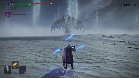 Sheer luck #wylder #eldenring #nightreign #aurafarming 