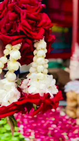 #nadirflowers @🌹𝐍𝐚𝐝𝐢𝐫 𝐟𝐥𝐨𝐫𝐢𝐬𝐭🌹  