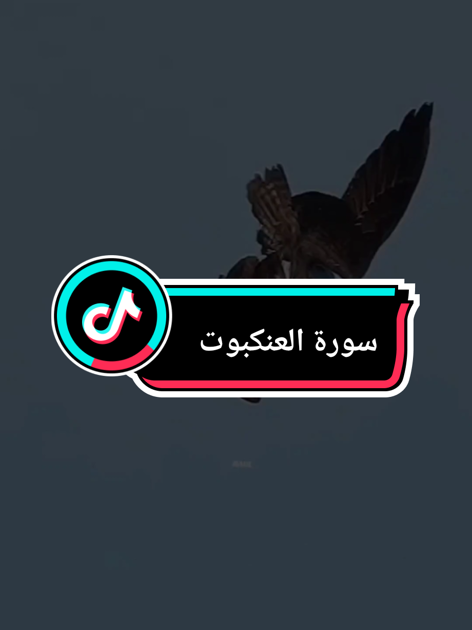 {الَّذِينَ صَبَرُوا وَعَلَىٰ رَبِّهِمْ يَتَوَكَّلُونَ }#الذين_صبروا_وعلى_ربهم_يتوكلون #سورة_العنكبوت #فارس_عباد #الله #قران_كريم 