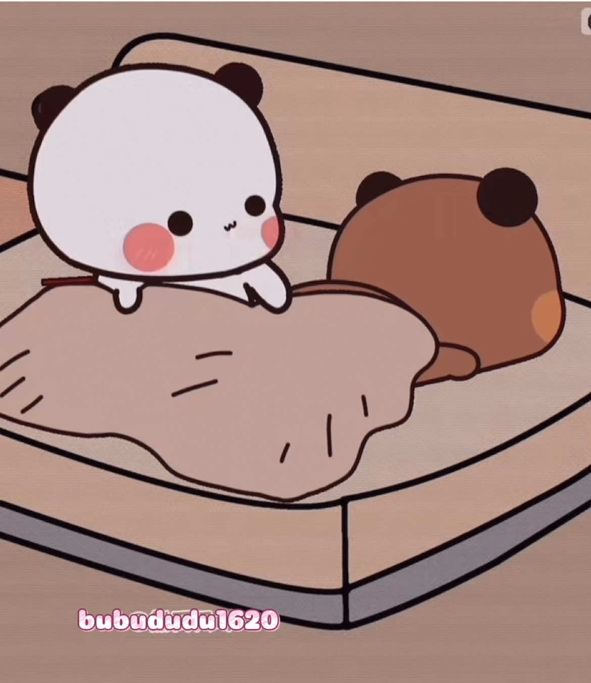 Hong sao bé vẫn iu 🥰 #bubududu #一二布布 #xh #bubu #fyp 