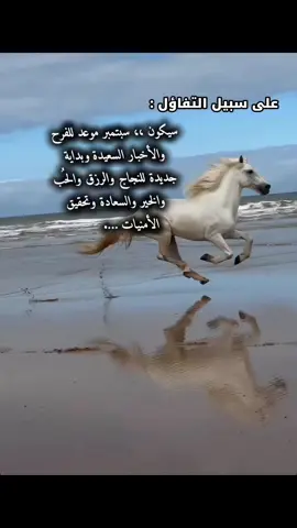 سيكون ،، سبتمبر موعد للفرح والأخبار السعيدة وبداية جديدة للنجاج والرزق والحُب والخير والسعادة وتحقيق     الأمنيات ….                               #تفاؤل_وايجابية #foryoupage #CapCut 