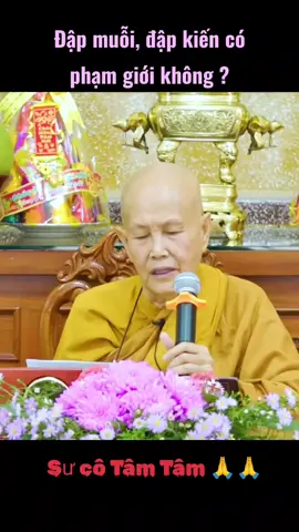 Đập con muỗi, con kiến có phạm giới không ? Sư cô Tâm Tâm 🙏🙏 #satsanh #sucotamtam #nghephap #phapthoai 