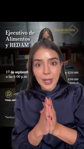 Como abogada, he visto la falta de herramientas prácticas para casos de Ejecutivo de Alimentos y REDAM. Por eso, preparé una clase de 4 horas con un modelo de demanda y una guía para liquidar créditos. Quiero compartir mi experiencia contigo. Si te interesa, solicita info al DM